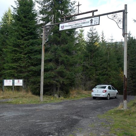Cabana Cerbul-Oasa-Transalpina Ciban Exteriér fotografie