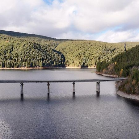 Cabana Cerbul-Oasa-Transalpina Ciban Exteriér fotografie