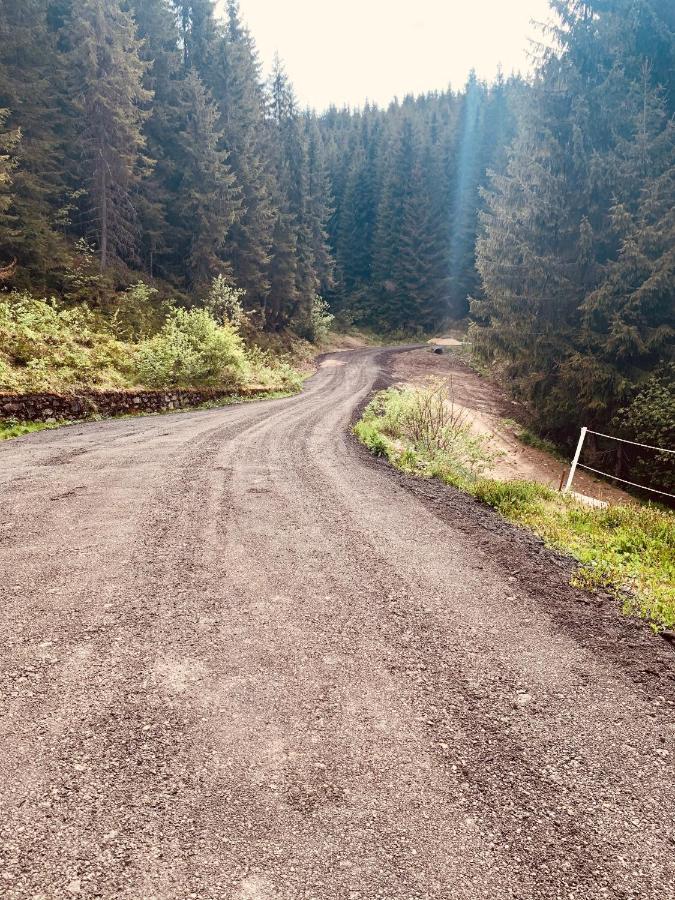 Cabana Cerbul-Oasa-Transalpina Ciban Exteriér fotografie