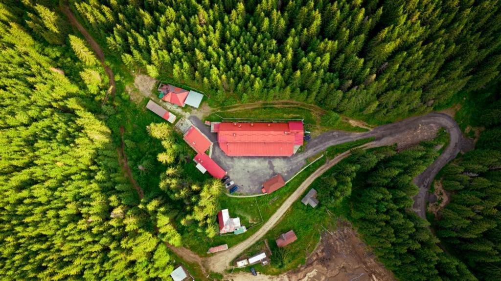 Cabana Cerbul-Oasa-Transalpina Ciban Exteriér fotografie