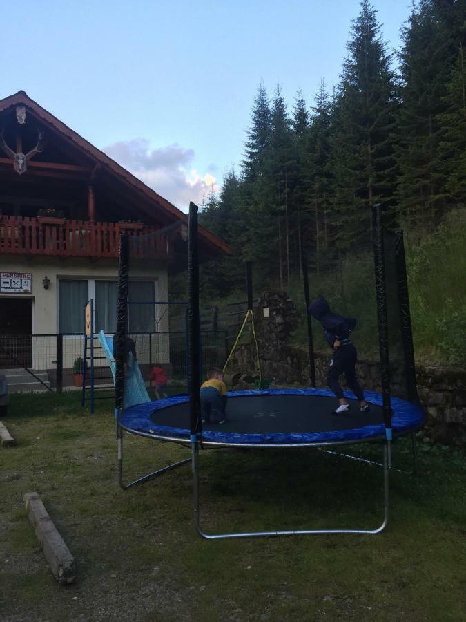 Cabana Cerbul-Oasa-Transalpina Ciban Exteriér fotografie