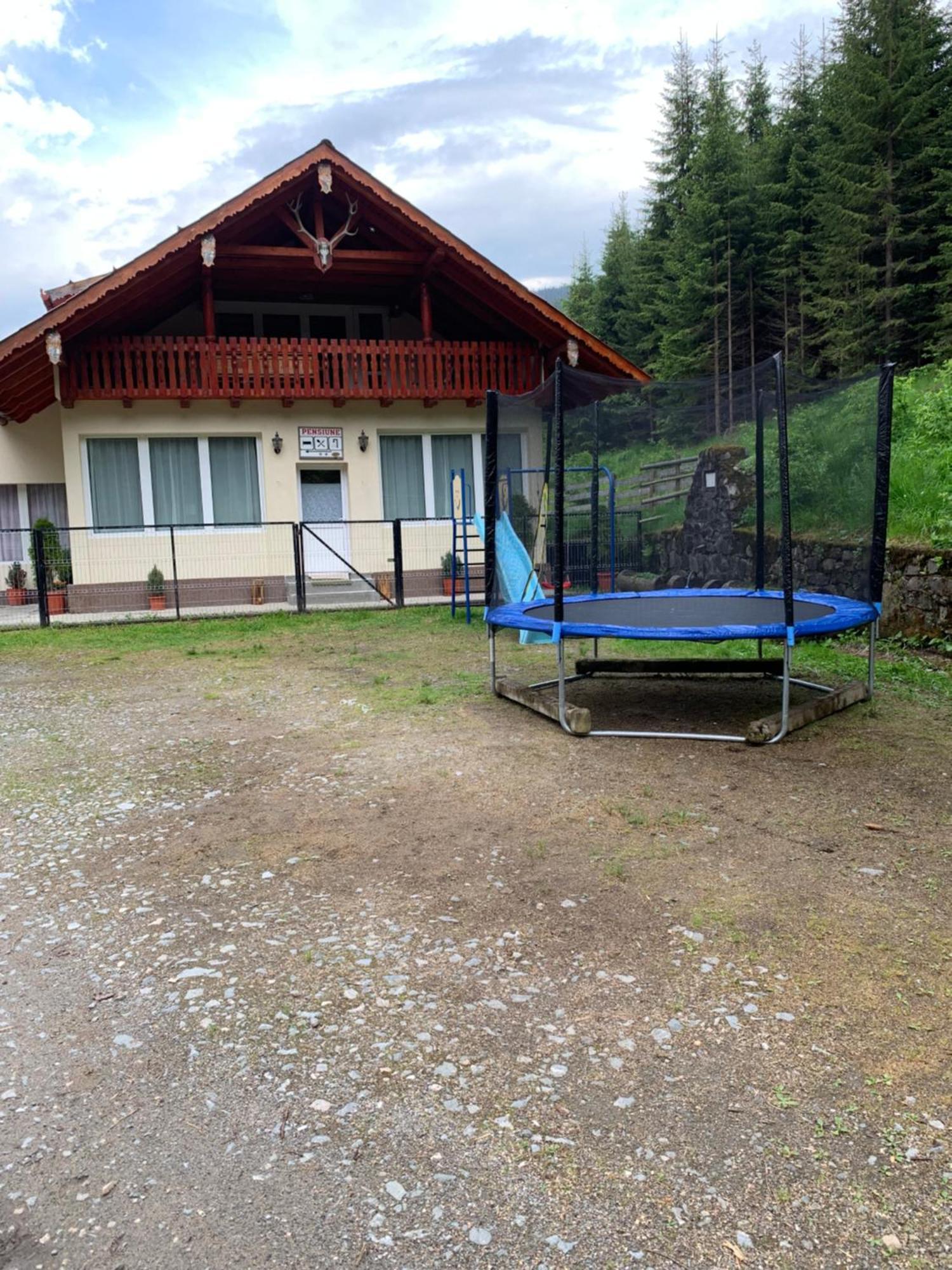 Cabana Cerbul-Oasa-Transalpina Ciban Exteriér fotografie