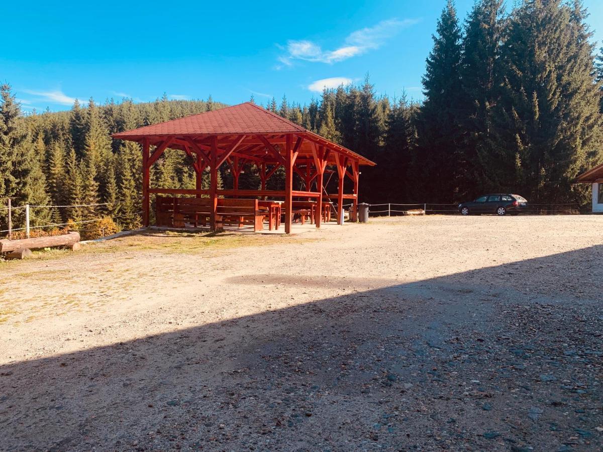 Cabana Cerbul-Oasa-Transalpina Ciban Exteriér fotografie
