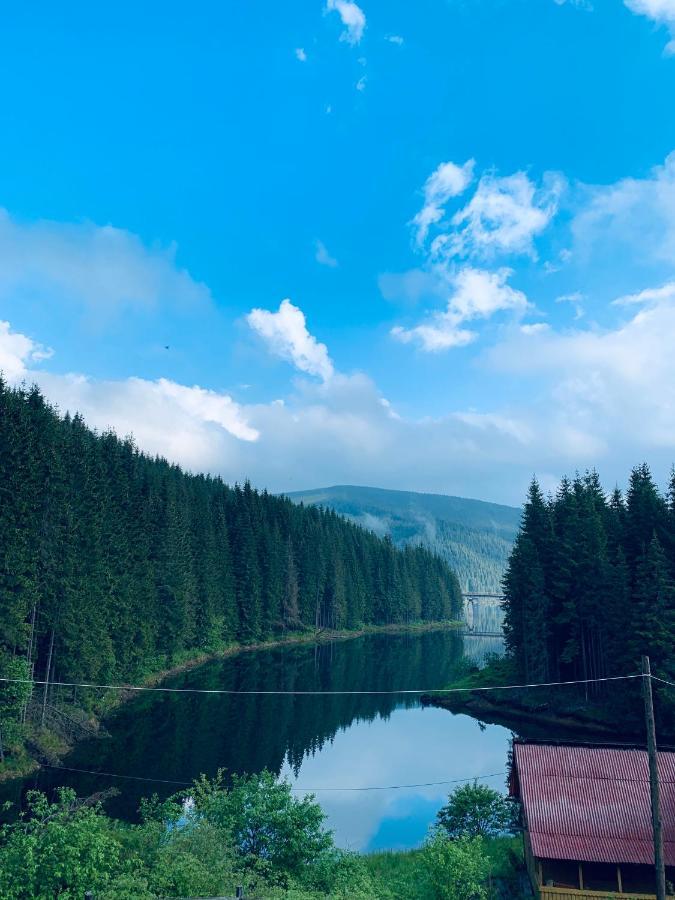 Cabana Cerbul-Oasa-Transalpina Ciban Exteriér fotografie
