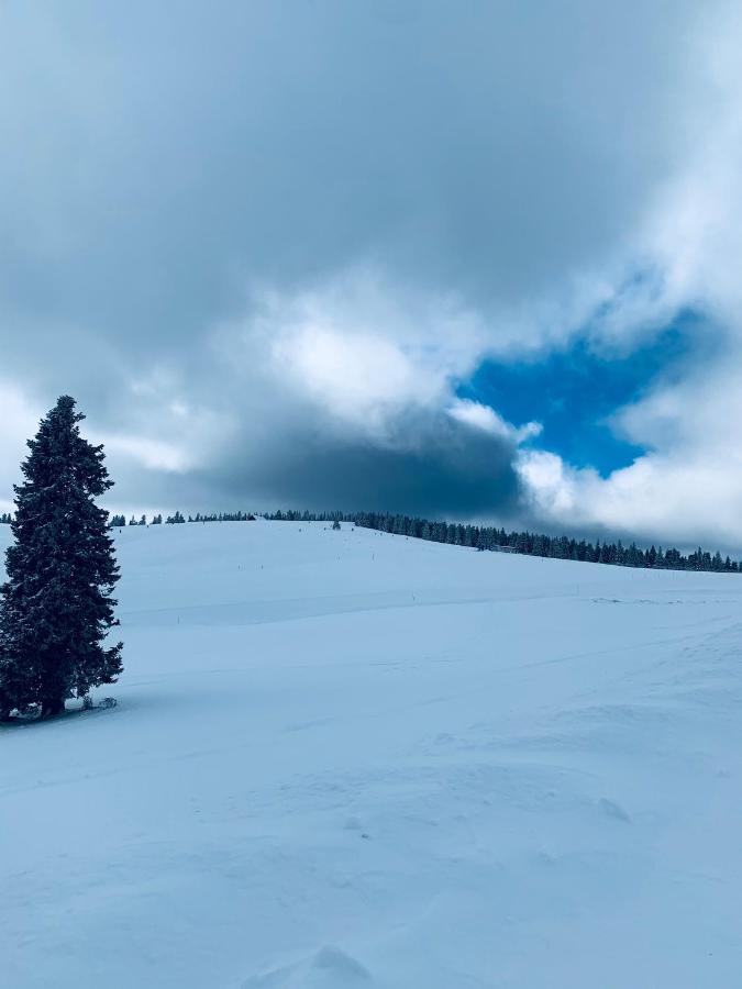 Cabana Cerbul-Oasa-Transalpina Ciban Exteriér fotografie